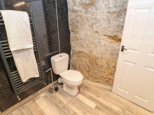 a bathroom with a white toilet and a shower at The Beach Apartment in South Shields +20 photos