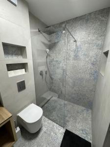 a bathroom with a toilet and a glass shower at Matea Apartment in Čitluk +30 photos