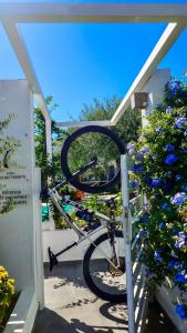 Jízda na kole v ubytování Thassos OLIVIA RESORT nebo okolí