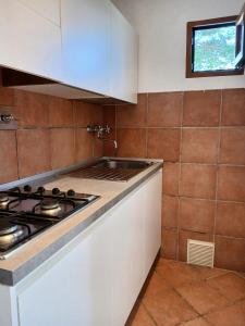 A kitchen or kitchenette at I Fiori di Salici