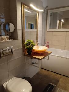 a bathroom with a sink and a toilet and a mirror at Downtown "Rendez-Vous" Luxury in Bacău +48 photos