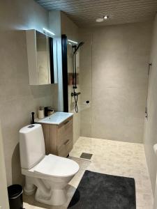 Gallery image of Tilava kaksio - free WiFi in Kuusamo +2 photos