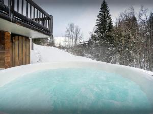 Obiekt Lodge le Chevreuil - OVO Network zimą
