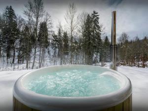 Obiekt Lodge le Chevreuil - OVO Network zimą