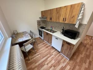 Kuchyň nebo kuchyňský kout v ubytování Apartmán pro 4 osoby, Kraslice