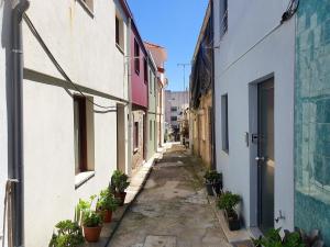 un vicolo tra due edifici con piante in vaso di Typical house in a historical pedestrian quarter a Porto
