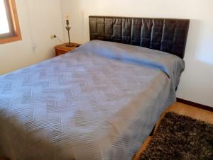 Gallery image of Casa camino a Termas de Chillan in Recinto