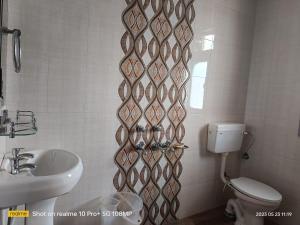SarāhanHotel Alpine View的带马桶和水槽的浴室