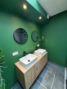 a green bathroom with two sinks and a mirror at Vakantiewoning Huis 14 in Mechelen +28 photos