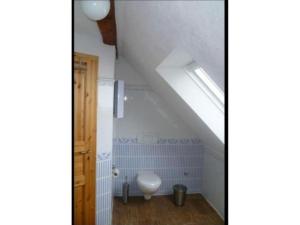 a bathroom with a toilet in a attic at Auszeit Landleben in Sallgast