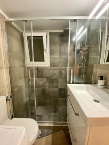 Un baño con ducha, inodoro y lavabo. en In between Syntagma & Plaka, en Atenas