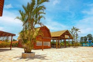 Πισίνα στο ή κοντά στο Barretos Country Park & Resort