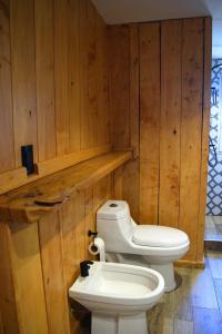a bathroom with a white toilet in a wooden wall at Cabañas Lodge Puerta Roja in Los Helechos