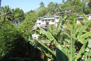 Gallery image of Evening Star Guest Inn in Kandy