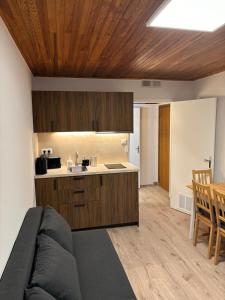 Kuchyň nebo kuchyňský kout v ubytování Studio 50m des pistes