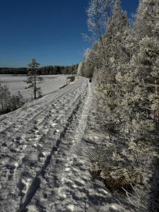 Fotografie z fotogalerie ubytování Garpenbergs Slotts Stallmästarhotell v destinaci Garpenberg