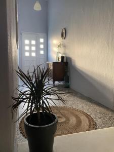Fotografie z fotogalerie ubytování Meerithic ROKKA ROOMS v destinaci Vourvourou