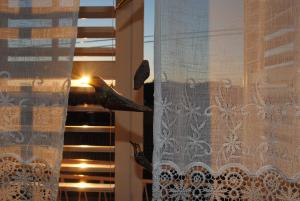 Fotografie z fotogalerie ubytování Lui v destinaci Makarska