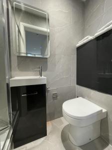 a bathroom with a toilet and a sink and a mirror at Park View in Leicester