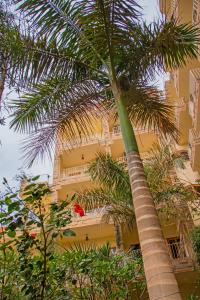 a palm tree in front of a yellow building at Thebes Hotel in Luxor +32 photos