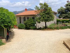 a house with a tree and a gravel driveway at Petit Plaisance in Capoliveri
