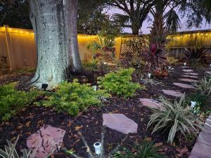 a garden with a tree and some plants and lights at 3BR Oasis with Pool in Cocoa in Cocoa