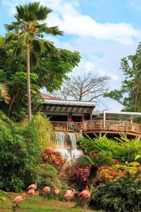 a garden with a waterfall and flamingos in front of a bridge at Appartement moderne à Vieux-Habitants, 80 m², terrasse in Beaugendre +21 photos