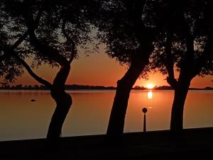 a sunset over a lake with two trees at Espectacular casa centro laguna para parejas in Chascomús