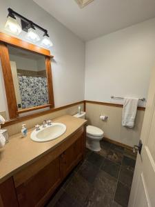 a bathroom with a sink and a toilet and a mirror at Morning Star Lodge - Hosted by Linda in Kellogg