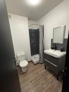 a bathroom with a toilet and a sink and a shower at Studio blain in Blain