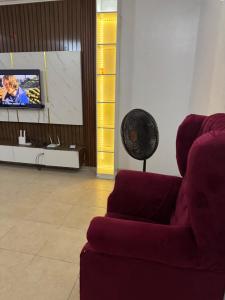 TV a/nebo společenská místnost v ubytování ROSE GARDEN LODGe57