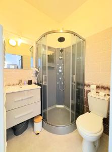 ein Badezimmer mit Dusche, Toilette und Waschbecken in der Unterkunft "petillat"-Superbe studio meublé 3 étoiles in Vichy