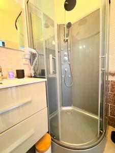 eine Dusche mit Glastür im Badezimmer in der Unterkunft "petillat"-Superbe studio meublé 3 étoiles in Vichy