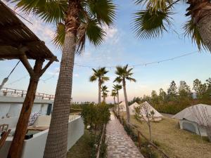 un chemin avec des palmiers devant une maison dans l'établissement Superides Camp, à Ourika