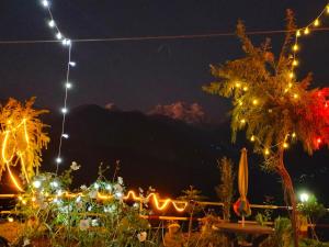 Un jardín fuera de Chaukhamba view Resort