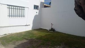 a small yard next to a white wall at Casa Familiar in Mar del Plata