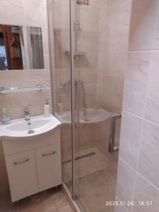 a bathroom with a shower and a sink and a toilet at 4 turtles apartman in Budapest +4 photos