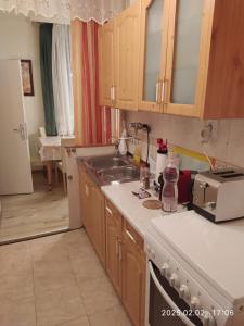 a kitchen with a sink and a counter top at 4 turtles apartman in Budapest
