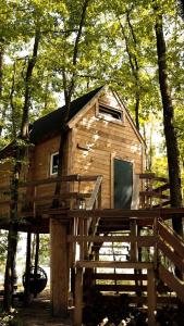 a tree house in the middle of the forest at Stodoła na drzewach in Justynów