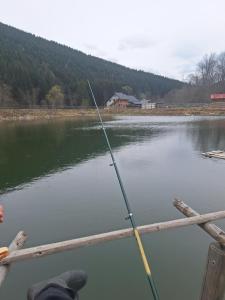 Φωτογραφία από το άλμπουμ του Cabana Topolog σε Mlăceni