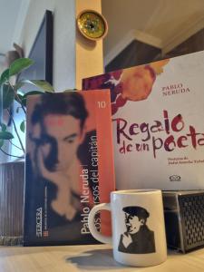 Fotografie z fotogalerie ubytování Estar Poético v destinaci Temuco