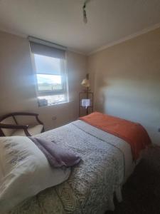 a bedroom with a bed and a window at Estar Poético in Temuco