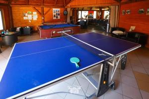 un tavolo da ping pong in una stanza con una palla da ping pong di Domki Letniskowe Pod Skamieniałym Miastem a Ciężkowice Altre 17 foto