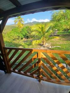 a view from the balcony of a house with a palm tree at Bungalow Lolo Moringa in Bouillante