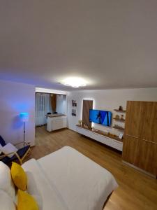 a living room with a bed and a flat screen tv at ONYX - Vision Aparthotel in Braşov