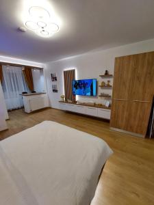 a living room with a bed and a flat screen tv at ONYX - Vision Aparthotel in Braşov