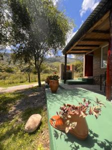 two large flower pots sitting on a table in front of a house at Los Jilgueros in Los Hornillos