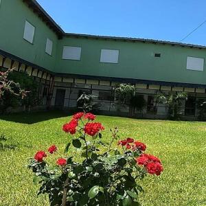 En have udenfor Hotel El Parque