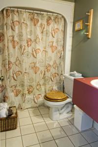 a bathroom with a toilet with a shower curtain at Ye Olde Argyler Lodge in Pubnico
