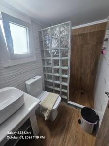 une salle de bain avec toilettes, lavabo et douche dans l'établissement Roof Top, à Chios 16 autres photos